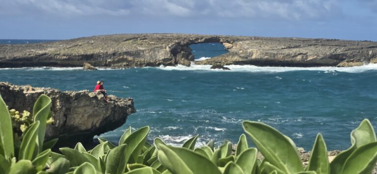 Exceptional Aloha Spirit With Exclusive Transportation of Hawaii